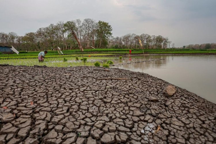 Riset Prediksi 19.300 Kematian Berlebih di Indonesia Saat El Nino, Seberapa Valid?