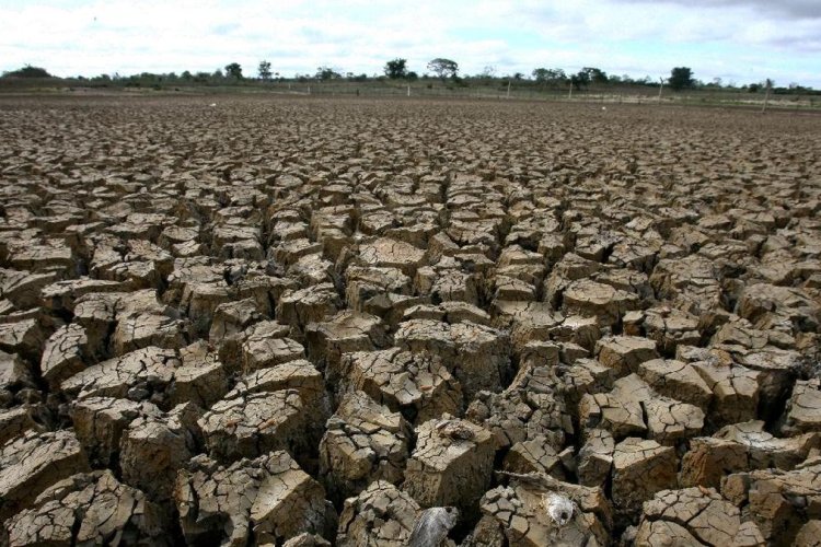 Pakar IPB Jelaskan Penyebab Retakan Tanah di Kalimantan, Bukan Berarti Jadi Gurun